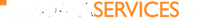 Data Services Inc.